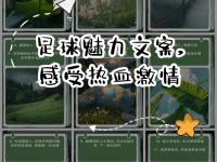 开云体育登录-热血挑战！顶尖足球两队决一胜负