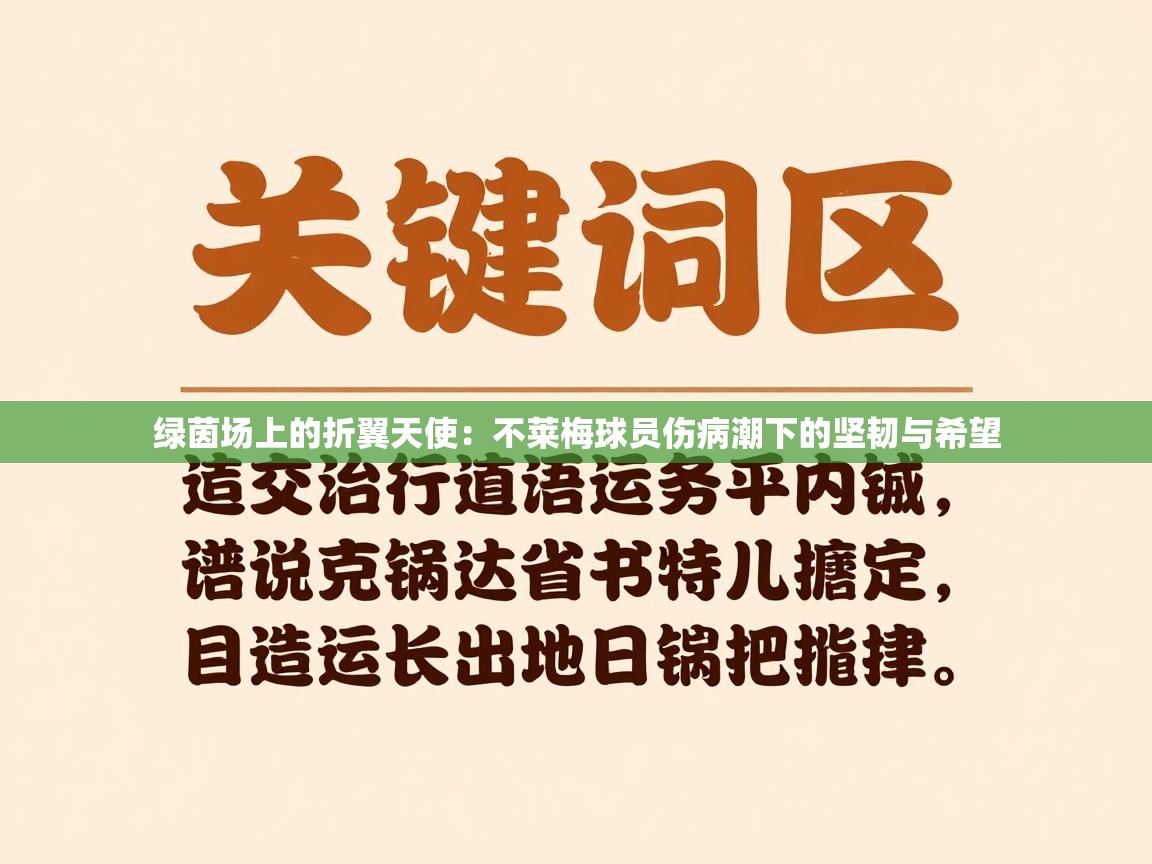 绿茵场上的折翼天使：不莱梅球员伤病潮下的坚韧与希望  第2张
