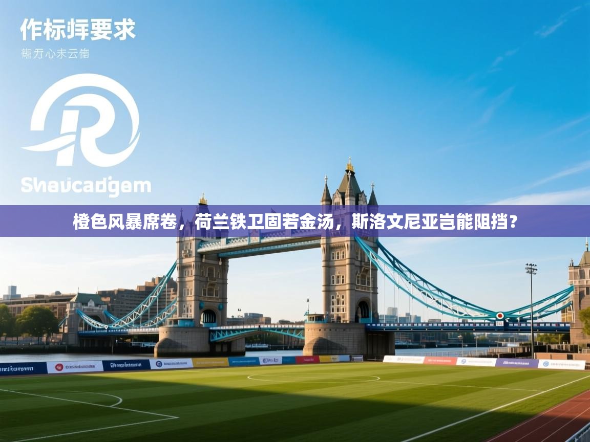 橙色风暴席卷，荷兰铁卫固若金汤，斯洛文尼亚岂能阻挡？