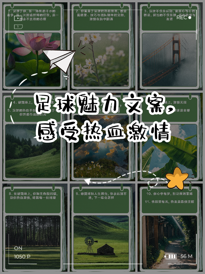 热血挑战！顶尖足球两队决一胜负